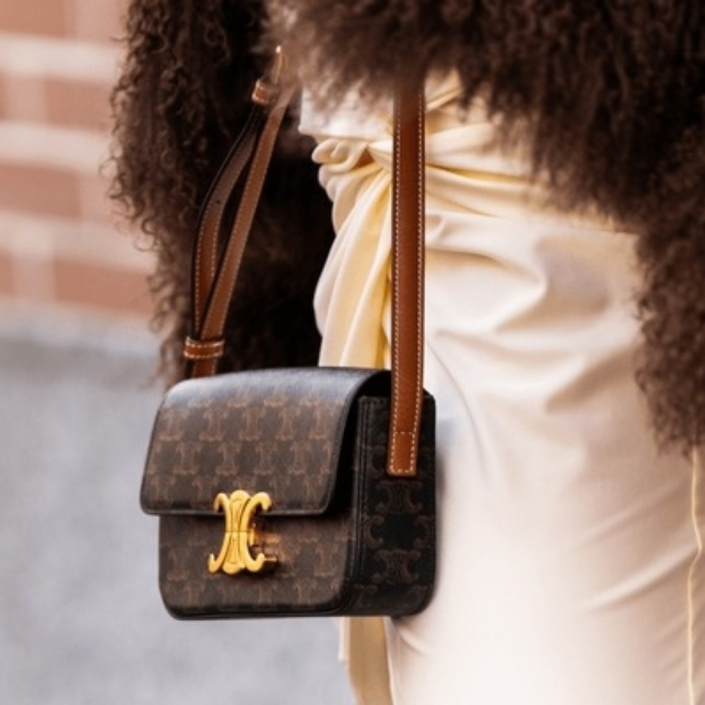 BRAND NEW! Celine TEEN TRIOMPHE BAG IN TRIOMPHE CANVAS AND CALFSKIN - Picture 8 of 16